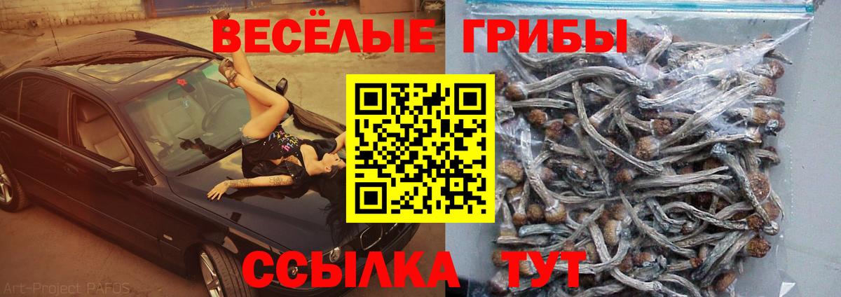 Галлюциногенные грибы прущие грибы  Вход с VPN  Борзя 